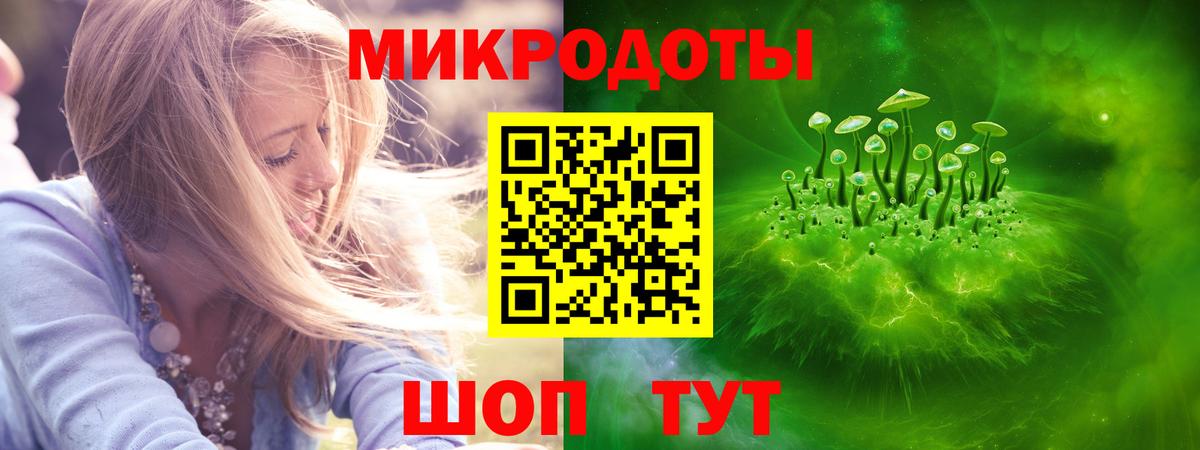 Псилоцибиновые грибы Cubensis  наркота  Братск  Вход с VPN 